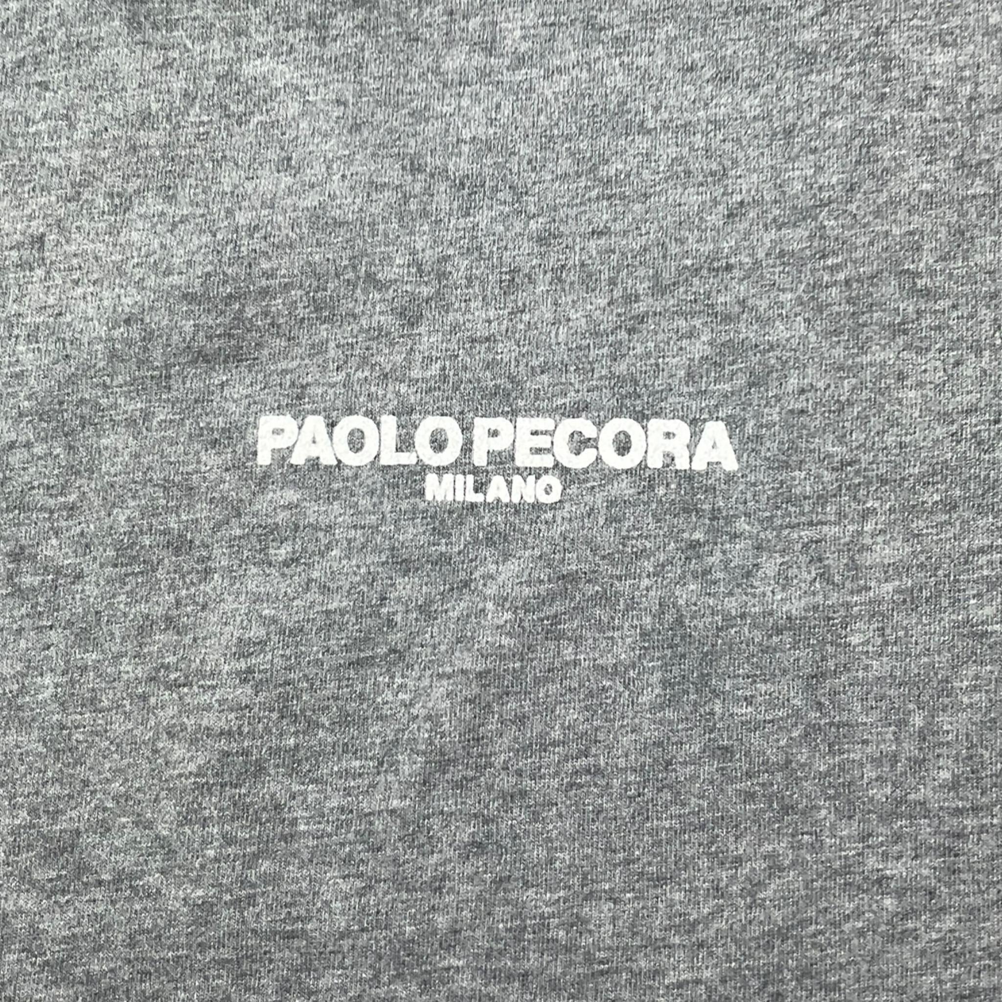 PAOLO PECORA t-shirt girocollo tinta unita con stampa Grigio per Bambino PP3736 GRIGIO PAOLO PECORA