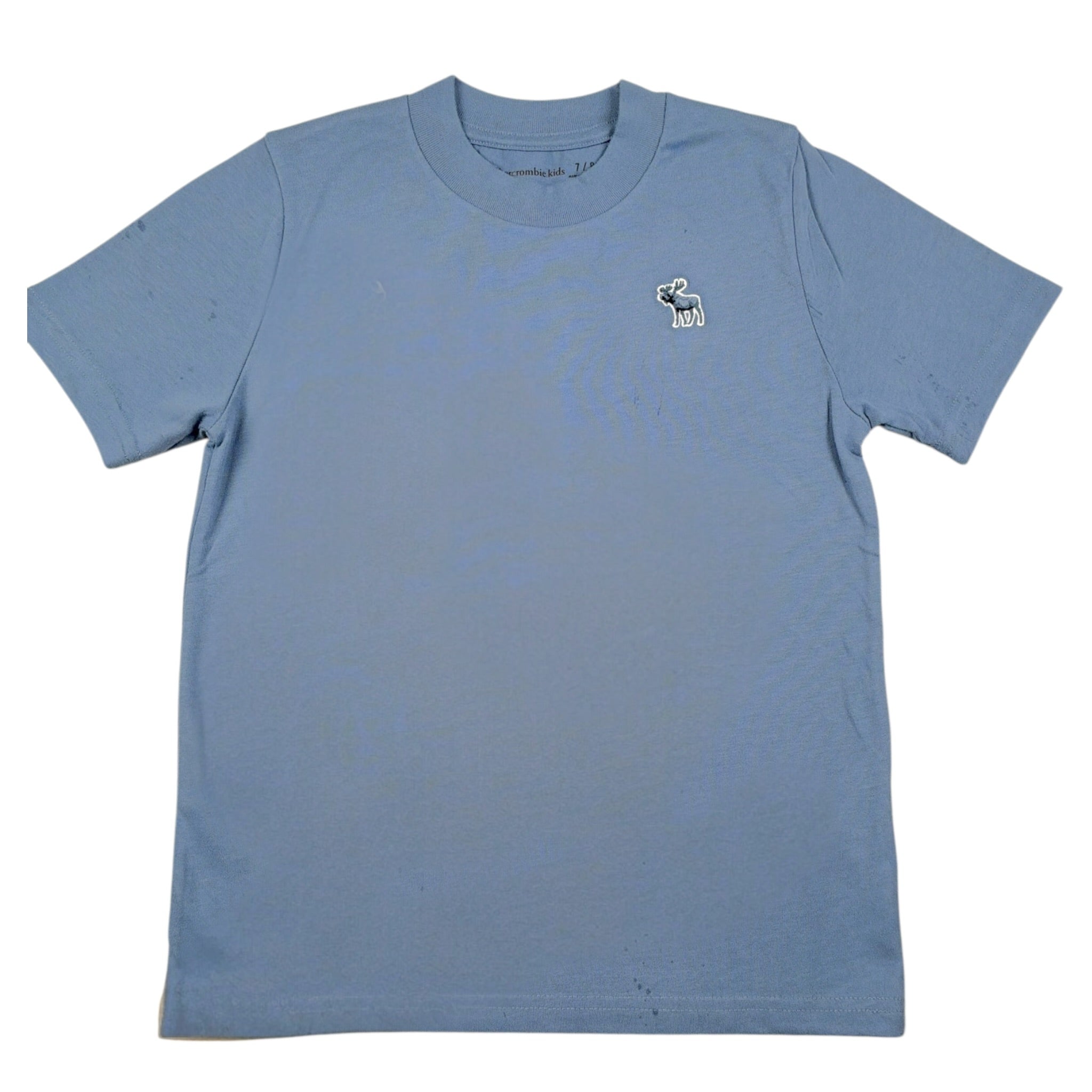 Abercrombie Kids T-Shirt tinta unita con Stampa Azzurro per Bambino WIIWIW AZZURRO  