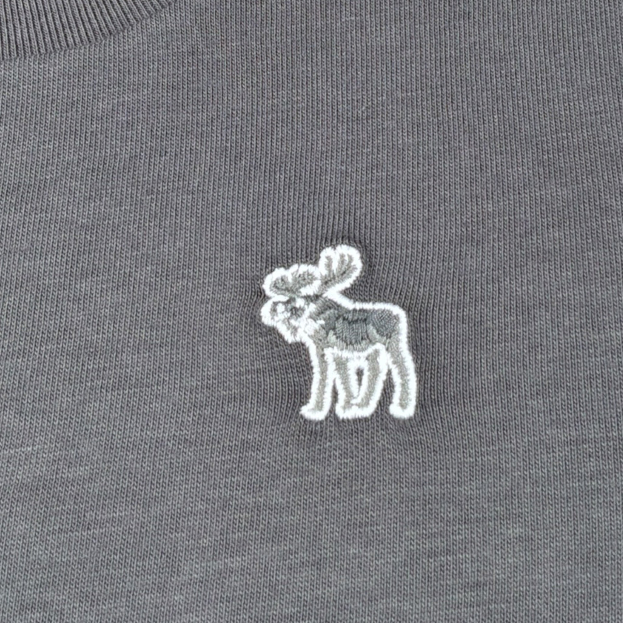 Abercrombie Kids T-Shirt tinta unita con Stampa Grigio per Bambino WIIWIW GRIGIO  