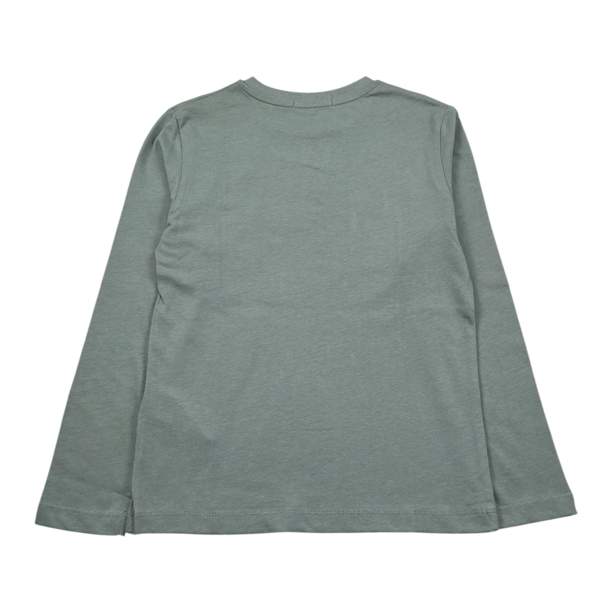 Calvin Klein Shirt Girocollo tinta unita con Logo Verde per Bambino IB0IB02166 VERDE CALVIN KLEIN 