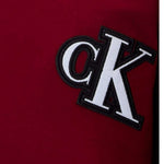Calvin Klein T-Shirt tinta unita con Logo Bordeaux per Bambino IB0IB02584 BORDEAUX CALVIN KLEIN 