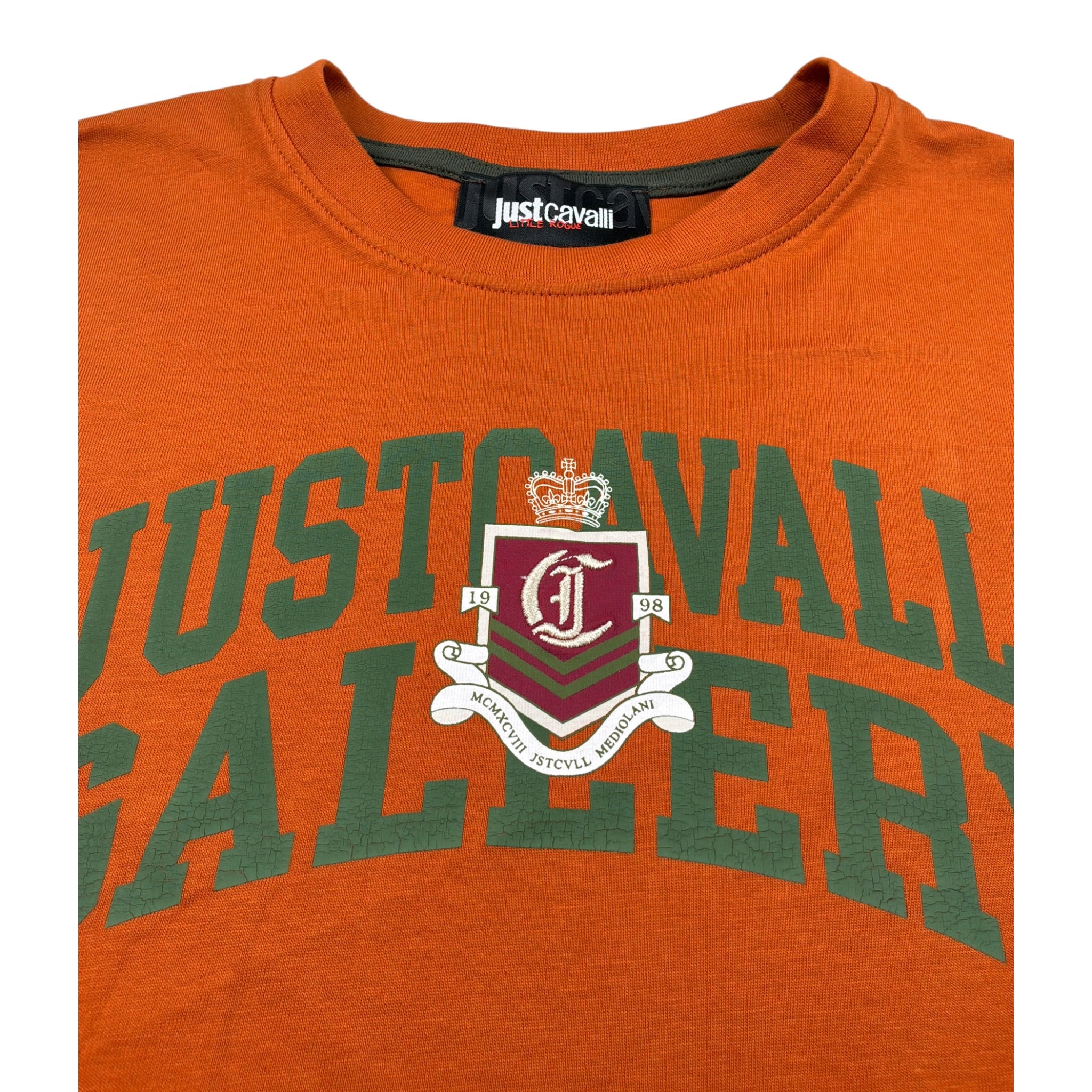 Just Cavalli T-Shirt Girocollo tinta unita con Logo Arancione per Bambino JBA26024TS ARANCIONE JUST CAVALLI 