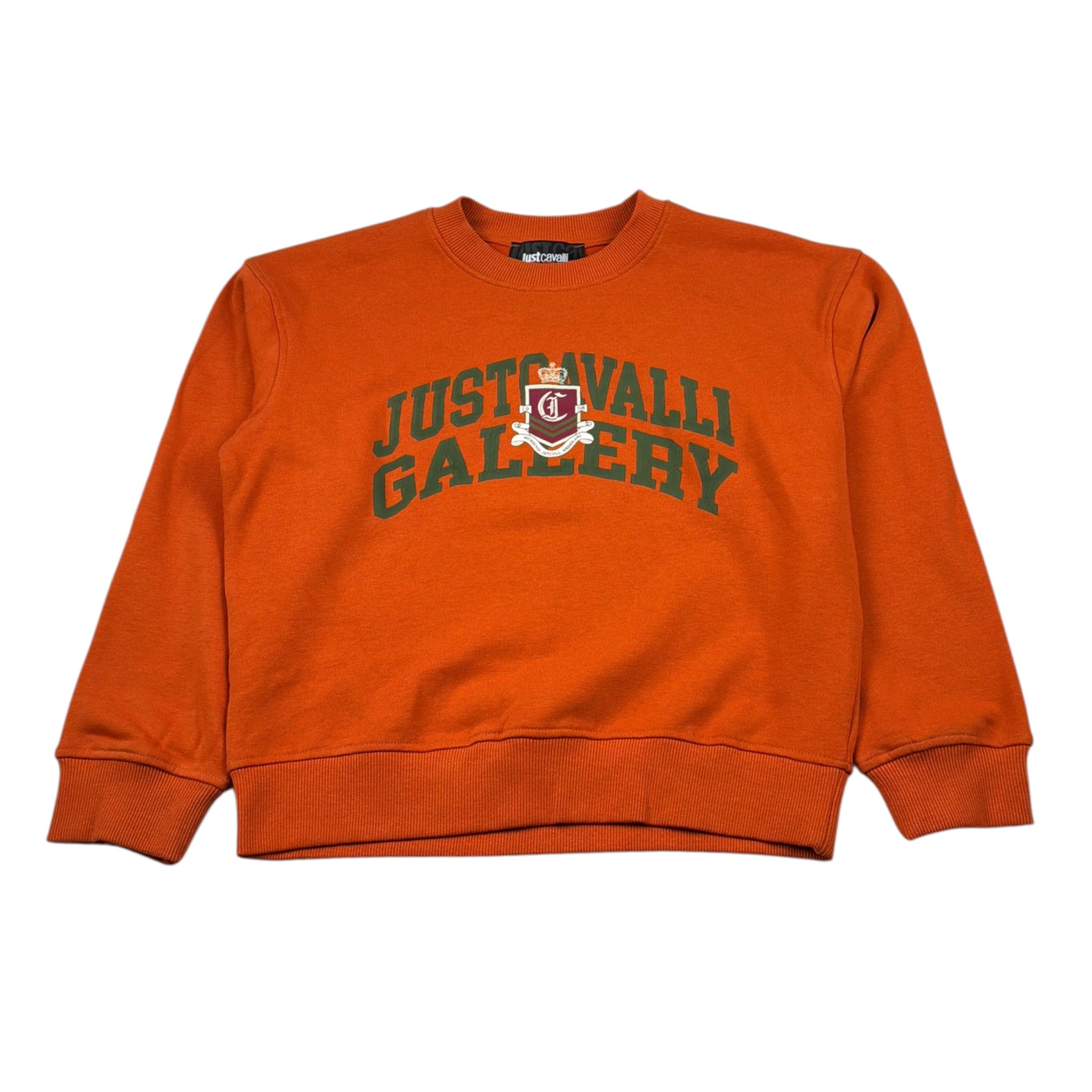 Just Cavalli Felpa Chiusa Girocollo tinta unita con Stampa Arancione per Bambino JBA26040FE ARANCIONE JUST CAVALLI 