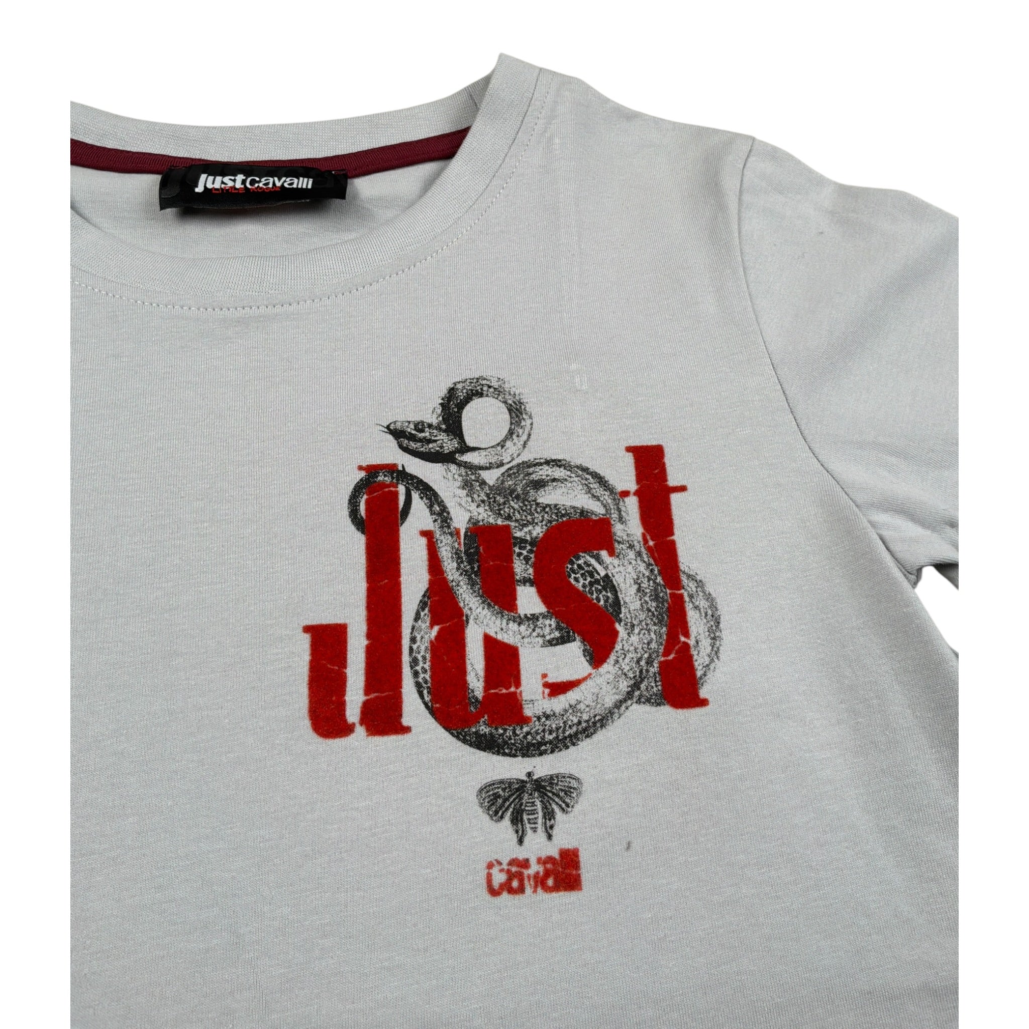 Just Cavalli T-Shirt Girocollo tinta unita con Logo Grigio per Bambino JBA26075TS GRIGIO JUST CAVALLI 