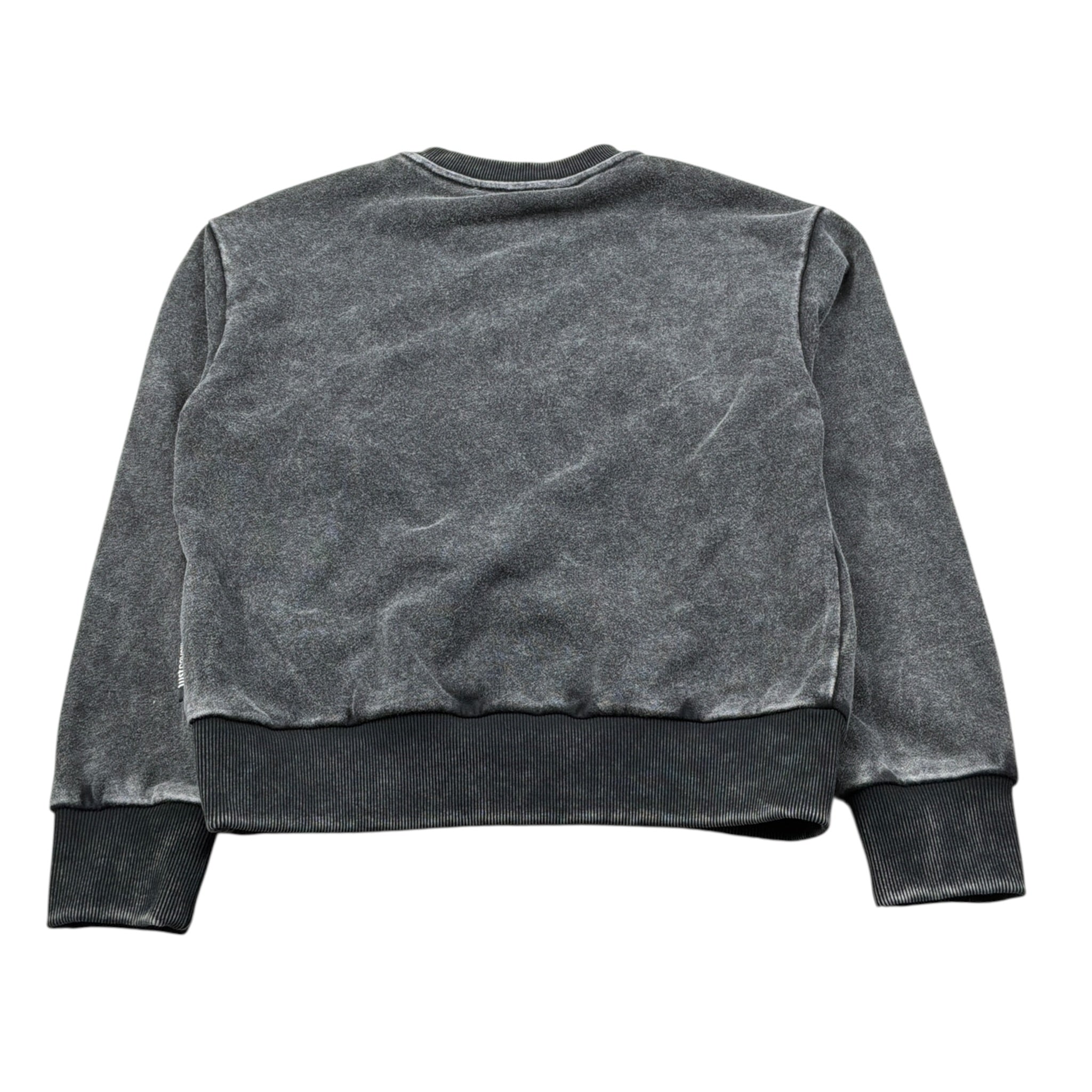 Just Cavalli Felpa Chiusa Girocollo tinta unita con Stampa Grigio per Bambino JGA26029FE GRIGIO JUST CAVALLI 