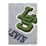 Levi'S Felpa Chiusa Girocollo tinta unita Grigio per Bambino 9EP034 GRIGIO LEVI'S 
