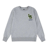 Levi'S Felpa Chiusa Girocollo tinta unita Grigio per Bambino 9EP034X GRIGIO LEVI'S 