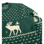 Ralph Lauren Maglia Girocollo tinta unita Ocn Ricami Verde per Bambino 323981052001 VERDE RALPH LAUREN 