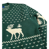 Ralph Lauren Maglia Girocollo tinta unita Ocn Ricami Verde per Bambino 323981052001 VERDE RALPH LAUREN 