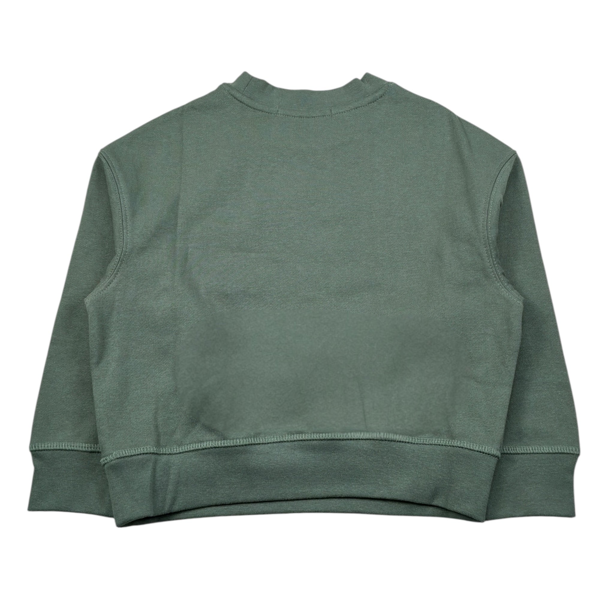 Replay Felpa Chiusa Girocollo tinta unita con Stampa Verde per Bambino SB2076 VERDE REPLAY 