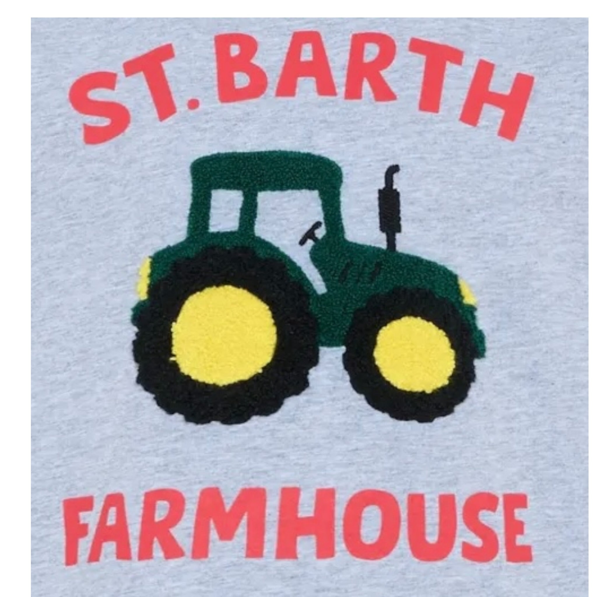 Saint Barth T-Shirt Girocollo tinta unita con Stampa Grigio per Bambino CAM00100864I GRIGIO SAINT BARTH 