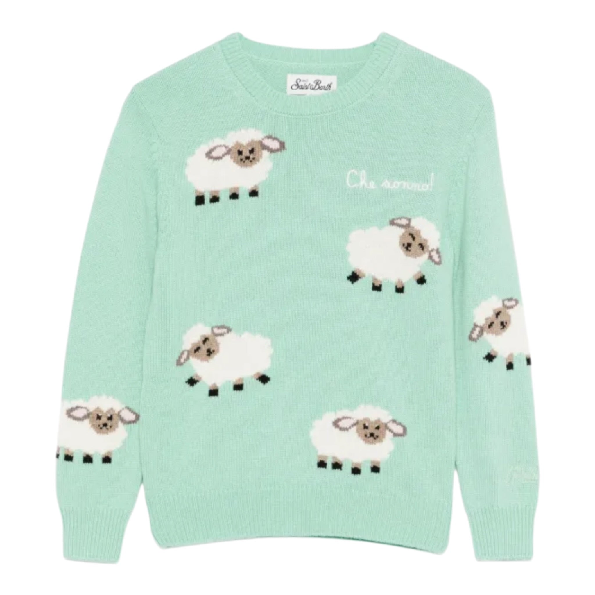 Saint Barth Maglia tinta unita con Stampa Verde Acqua per Neonato PRC000500454I VERDE ACQUA SAINT BARTH 