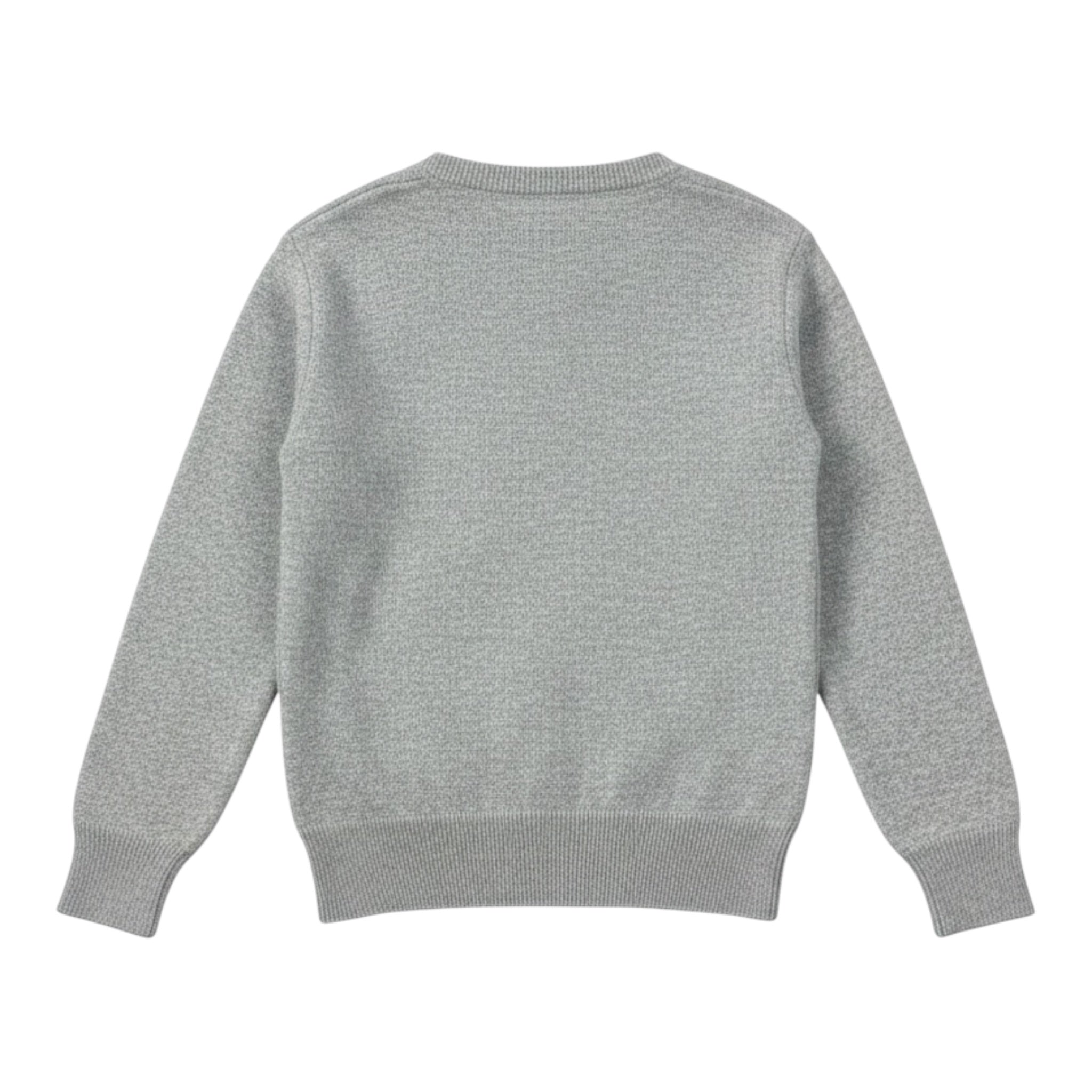 Saint Barth Maglia tinta unita Girocollo con Stampa Grigio per Bambino RICHIE GRIGIO SAINT BARTH 