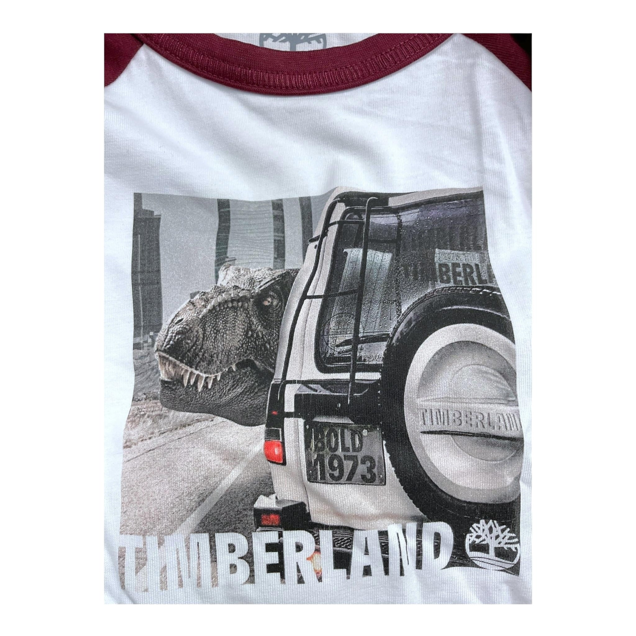Timberland Shirt Bicolore con Stampa Bianco per Bambino T60305 BIANCO TIMBERLAND 