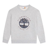 Timberland Felpa tinta unita con Stampa Grigio per Bambino T60319 GRIGIO TIMBERLAND 