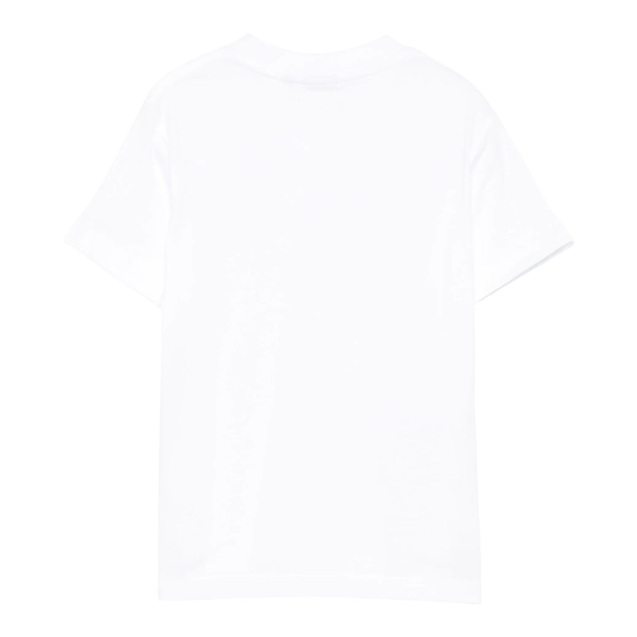 Aspesi T-Shirt Girocollo Tinta Unita con Stampa per Bambino S25022TSM0122XX BIANCO ASPESI 