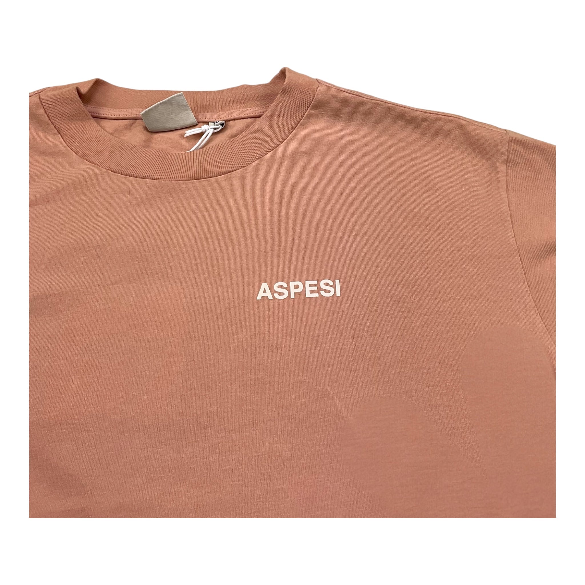 Aspesi T-Shirt Girocollo Tinta Unita con Logo per Bambina S25029TSM7038 ROSA ASPESI 