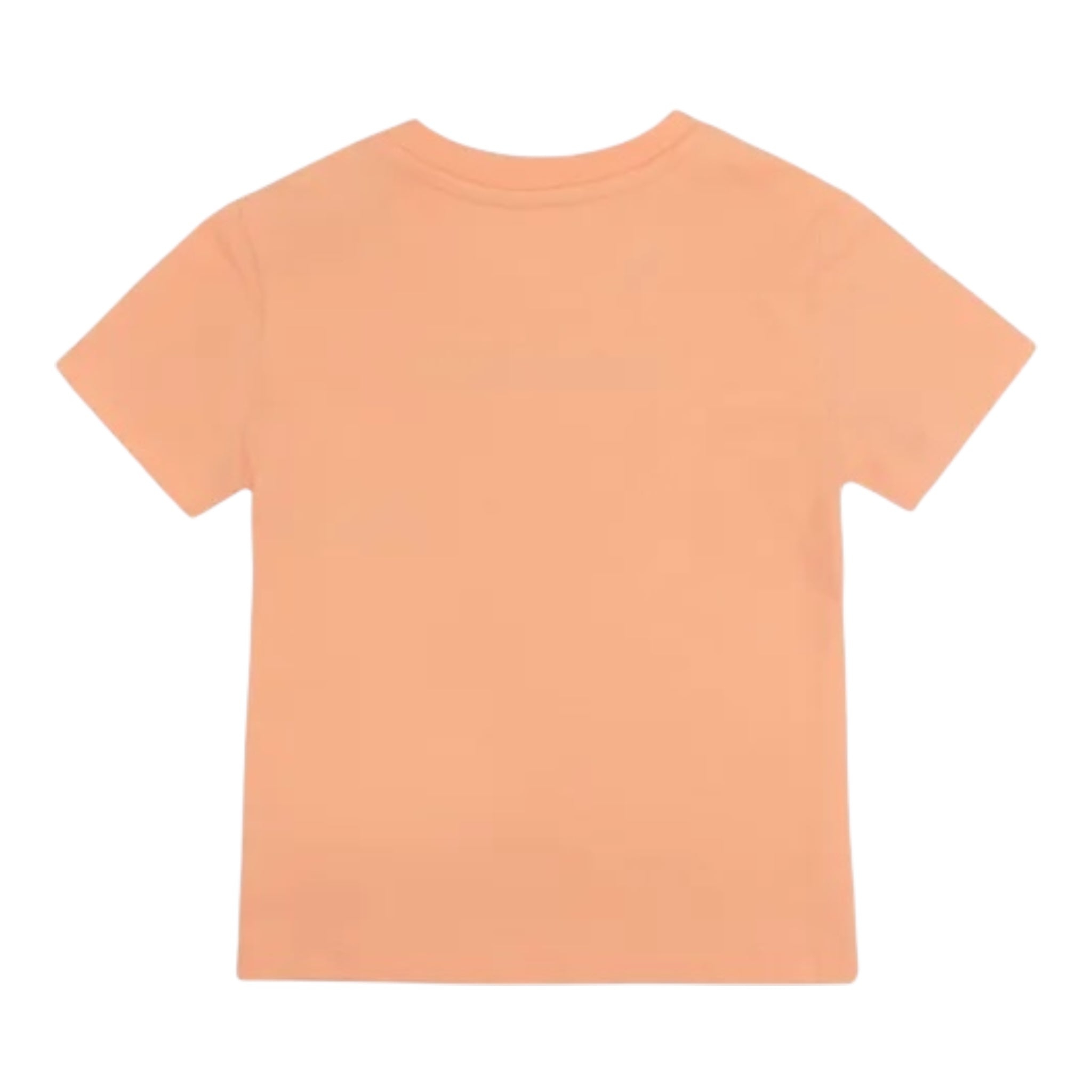 Calvin Klein T-Shirt Tinta Unita Girocollo con Stampa per Neonato IN0IN00068 PESCA CALVIN KLEIN 