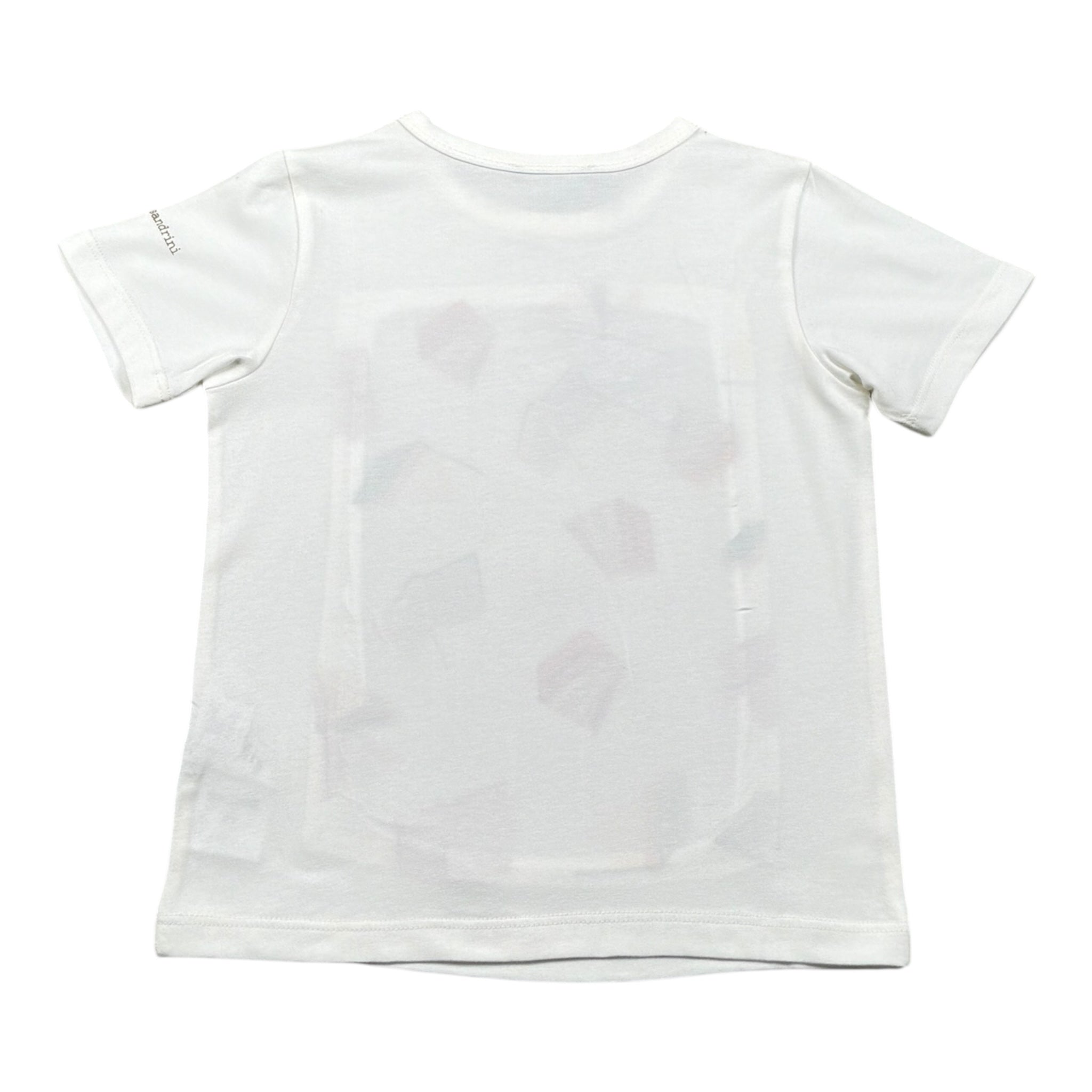 Daniele Alessandrini T-Shirt Tinta Unita con Stampa per Bambino 1236M00314 BIANCO DANIELE ALESSANDRINI 