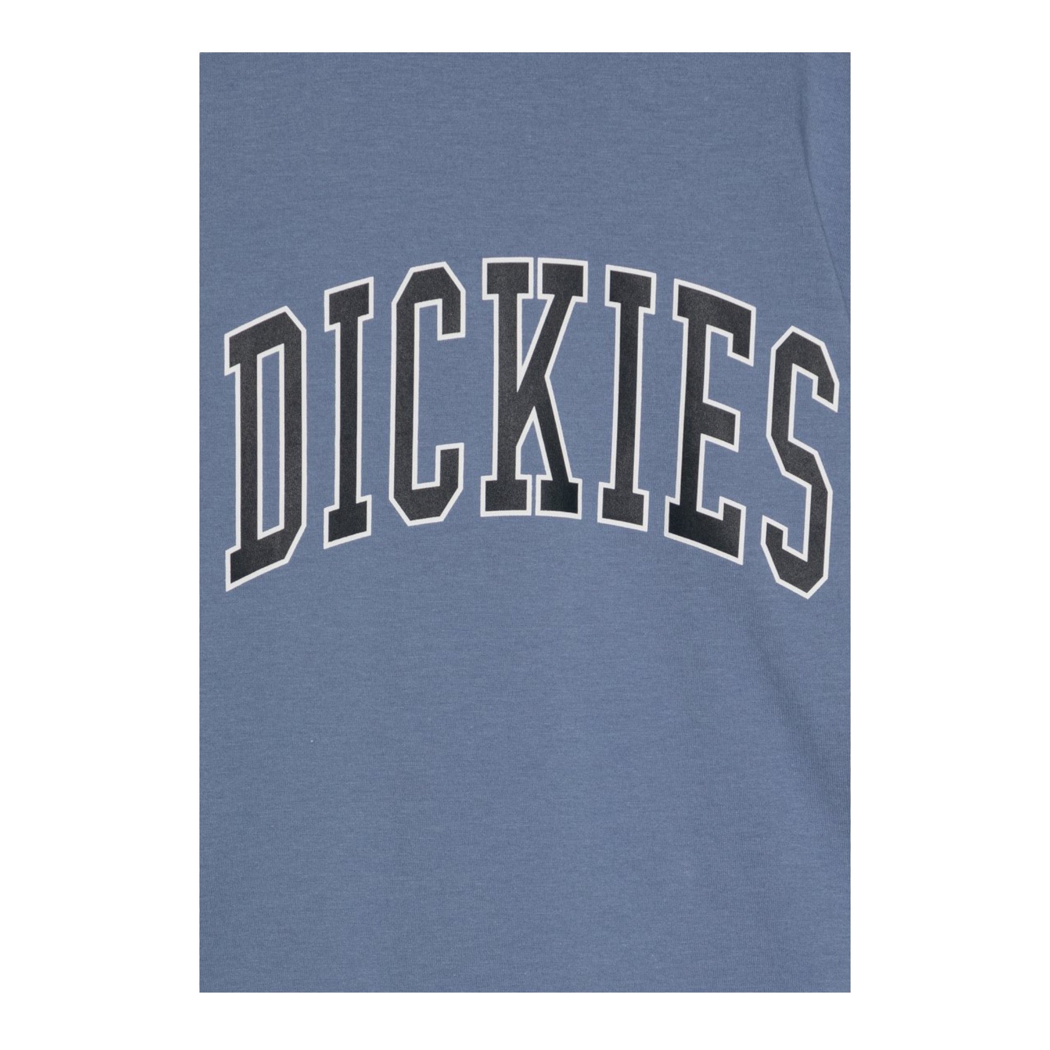 Dickies T-Shirt Girocollo tinta unita con Logo Azzurro per Bambino 520049816800100 AZZURRO DICKIES 