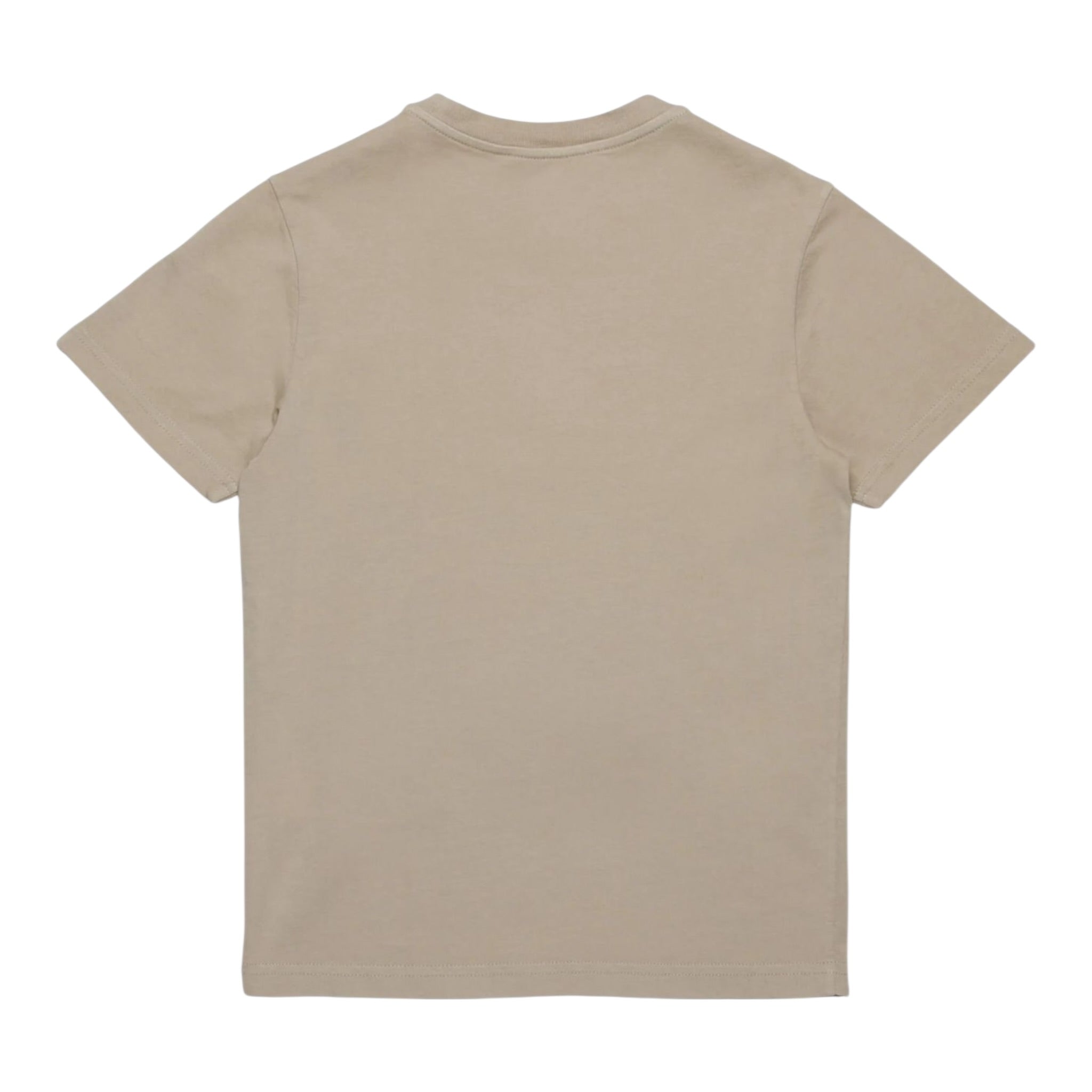 Dsquared2 T-Shirt tinta unita con Stampa Beige per Bambino DQ2856X BEIGE DSQUARED2 