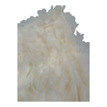 Fun & Fun Short Tinta Unita con Applicazioni Tulle per Bambina FNCBSO01048X AVORIO FUN & FUN 