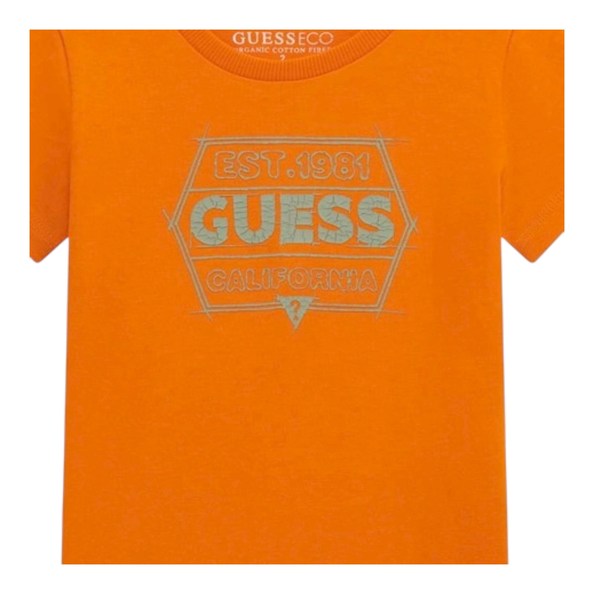 Guess T-Shirt Girocollo Tinta Unita con Stampa per Bambino N5RI25K8HM4 ARANCIONE GUESS 
