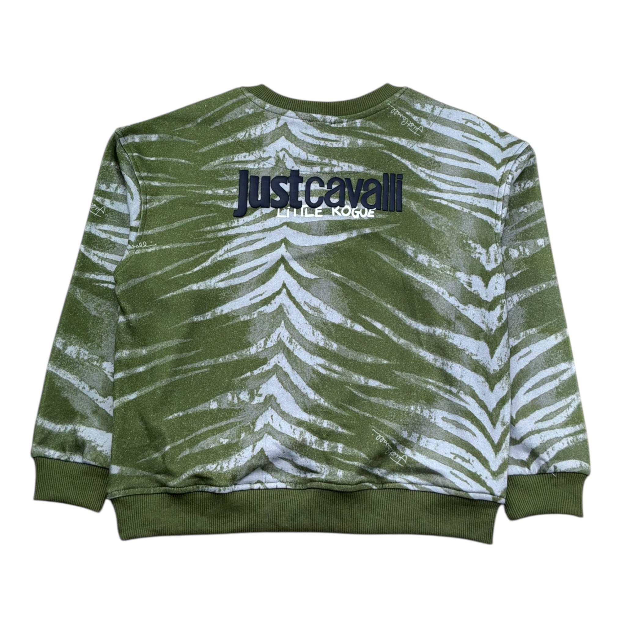 Just Cavalli Felpa Chiusa Girocollo Stampa Fantasia per Bambino JBP26109FE VERDE JUST CAVALLI 