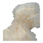 Fun & Fun Top Mezza Manica con Applicazioni Tulle per Neonata FNCBTP01046XN AVORIO FUN & FUN 