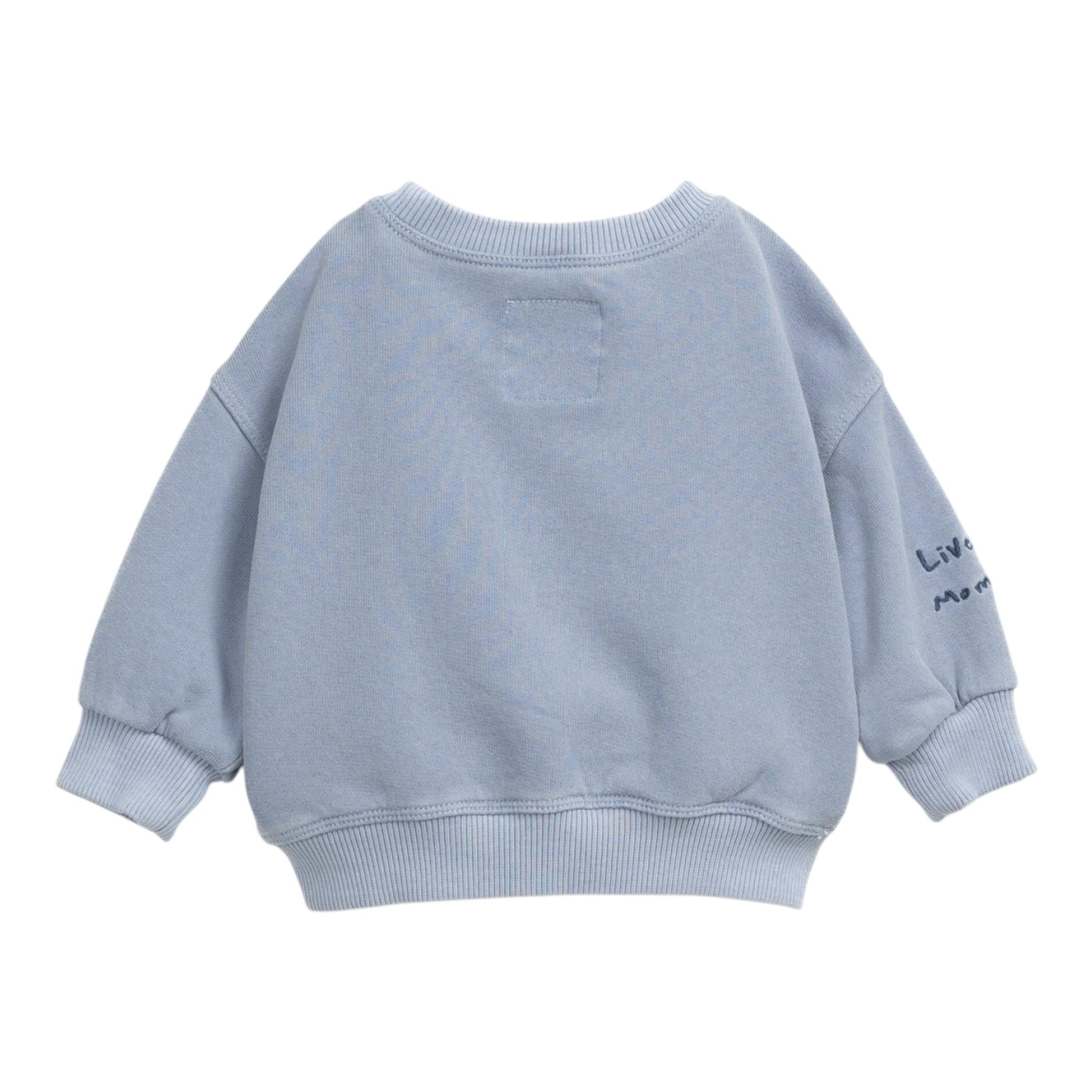 PLAY UP felpa tinta unita girocollo con stampa Azzurro per Bambino PA011AP10903 AZZURRO PLAY UP 