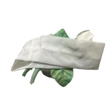 Light Colors Solid Color Headband With White Flower Applique For Newborn
