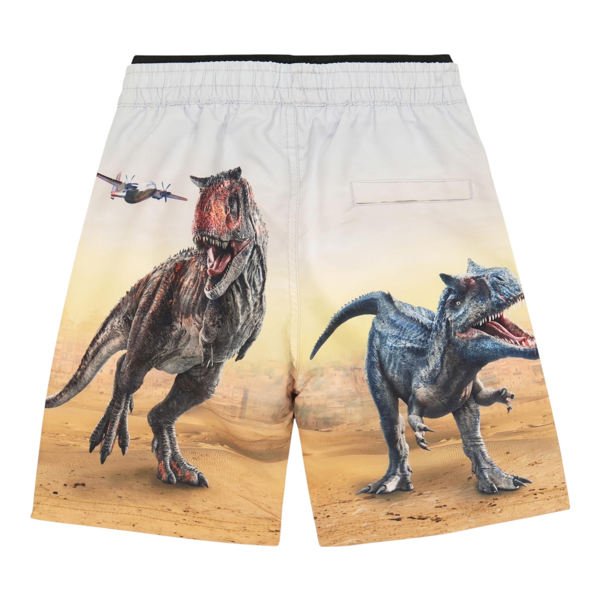 Molo Costume Modello Box Tinta Unita con Stampa Dinosauri per Bambino BW22P401 GRIGIO MOLO 