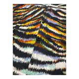 Just Cavalli Half Sleeve Shirt Multicolor Fantasy Print for Boys
