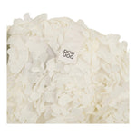 Dou Dou Abito Girocollo Tinta Unita con Applicazioni per Bambina DW1A91 PANNA DOU DOU 