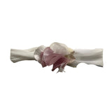 Lalalu' Solid Color Headband With White Appliques For Newborns